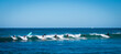 © Austockphoto - Surf Break Crowded Take-off