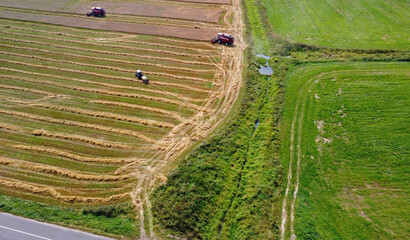 Wall Mural - Aerial view of agro rural fields. Harvesting on the farm landscape