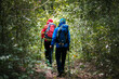© VStudio - Two young Asian male backpackers Trekking to study the nature of tropical forests for ecotourism. Tourists trekking to see the beauty of tropical forests in Thailand.