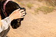 Unrecognizable person patting dog's head in outdoors
