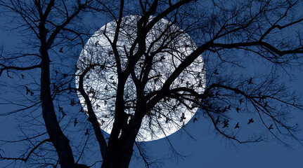 Poster - Silhouette of birds flying over lone tree with aurora against super moon 