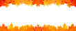 Frame of orange maple leaves on white background. Banner. Autumn, fall design. Copy space for text.