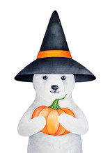 Watercolour Illustration Of Cute Little White Teddy Bear Character Wearing Black Witch Hat And Holding Bright Orange Halloween Pumpkin. Hand Painted Water Color Graphic Drawing On White Background.