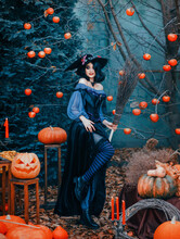 Portrait Fantasy Happy Woman Witch Sexy Posing. Orange Pumpkin For Halloween Holiday Decor Scenery. Cheerful Girl Creative Costume Black Purple Dress Cone Hat. Smiling Face Art Makeup. Autumn Nature