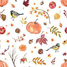 Fall Seamless Pattern With Watercolor Plants, Foliage, Tit, Berries, Pumpkins, Apples. Autumn Harvest Illustration.