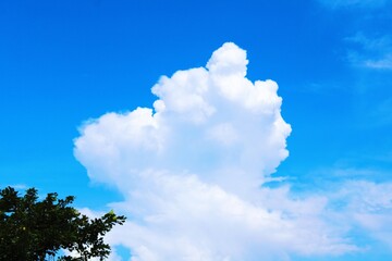 dove shaped cloud in deep blue sku