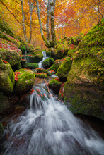 Clean Water Flowing On Mossy Stones