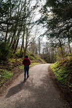 Anonymous Tourist Walking On Curvy Road Through Leafless Forest
