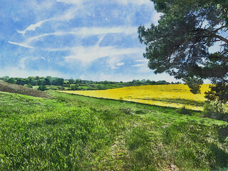 Green and yellow field against a blue sky with clouds. Watercolor art.