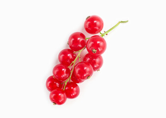 Berries of fresh raw ripe red currants on a green sprig, isolated on white background, macro photography