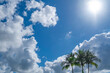 © Tetra Images - Palm trees against sky with puffy white clouds and sun