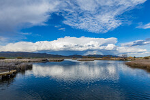United States, Idaho, Bellevue, Clouds Reflecting In Pond
