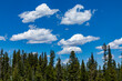 © Tetra Images - United States, Idaho, Stanley, White clouds over forest near Sun Valley