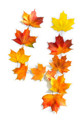Wall Mural - number 4 from of colorful autumnal maple leaves on white background. top view, flat lay