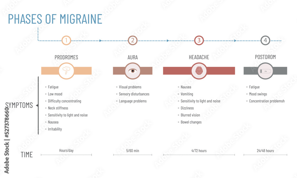 Infographic about the stages of a migraine: duration of each stage and ...