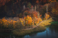 Colorful Autumn Season In Plitvice Lakes National Park From Croatia.