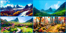 A Set Of Images From The Seasons Series. Winter Spring Summer And Autumn In The Mountains, Forest Path. 3d Rendering