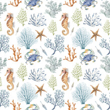 Seamless Pattern With Watercolor Illustrations Of Corals And Animals In Marine Style On A White Background.	
