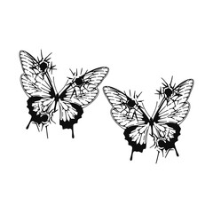 vector illustration of two concept butterflies