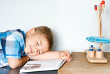 Fototapeta Storczyk - Zmęczone dziecko zasypia - marzenie - książka dla dzieci - świat wyobraźni i marzenia