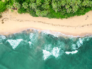 An aerial view of a tropical sandy beach with rocks palm trees and blue ocean.