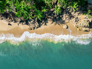 An aerial view of a tropical sandy beach with rocks palm trees and blue ocean. Location Rincon, Puerto Rico.