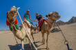 © Mugur - Tourists in egypt on camels