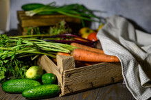Fresh Organic Homegrown Vegetables On Wooden Rustic Table
