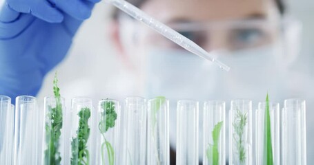 biology, plant science and research with leaf, nature and environment growth in laboratory test tube
