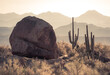 Leinwandbild Motiv Hug Boulder And Saguaro Cactus Silhouette During Morning Light