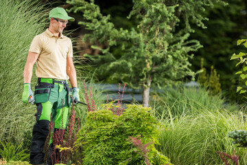 Wall Mural - Gardener Proudly Looking at Finished Pruning Work