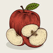 Illustration vintage apple fruit with engraving style on white background