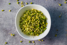 Selective focus of Indian Mung Bean Sprouts. 