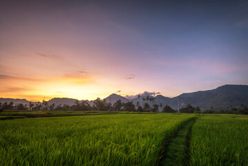 Wall Mural - Wonderful Panorama Photos at Indonesia