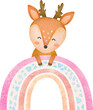 cute watercolor baby deer, watercolor bambi cartoon, cute deer sitting on the rainbow, baby nursery Deer, baby animal set clip art, isolated
