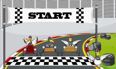 Wall Mural - Soap box derby race with ducks cartoon character