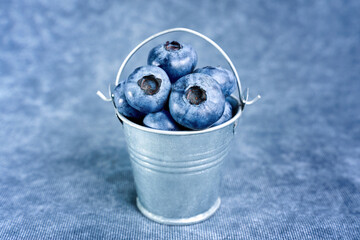 Canvas Print - Miniature bucket of blueberries on blue