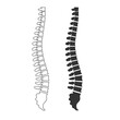 Human spines. Human spine ache.