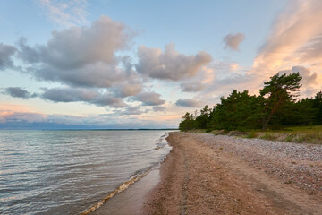 Wall Mural - Baltic sea shore (beach) at sunset, panoramic view. Pebbles, trees. Soft sunlight, midnight sun. Saaremaa island, Estonia. Atmospheric summer landscape