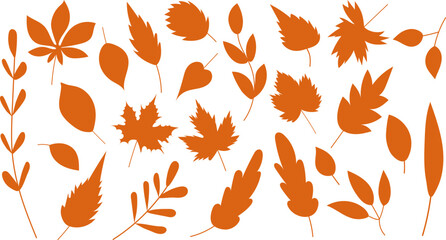 Wall Mural - set of autumn leaves, objects silhouette isolated, vector