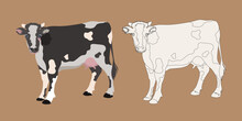 Cow In Brown Color, Silhouette, Contour. The Face Of A Cow In Brown Spots And The Painting Of A Cow.