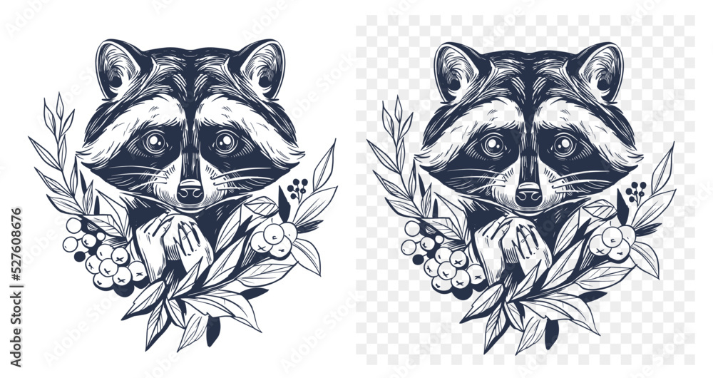 Raccoon head. Hand drawn vector outline. Black Sketch illustration ...