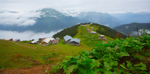 Pokut Plateau and Kaçkar Mountains are among the most beautiful plateaus of Turkey.