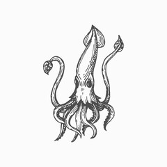 Wall Mural - Giant hooked squid isolated marine animal mollusk monochrome sketch icon. Vector marine underwater mollusk hooked-squid. Squid with elongated body, large eyes and eight arms, invertebrate cuttlefish