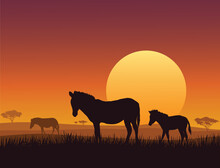 Horses On Sunset