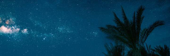 the moon shines at night over palm trees on the sea