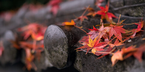 Wall Mural - 瓦屋根に積もるもみじの落ち葉　コピースペース　Fallen red maple leaves on traditional Japanese roof tiles