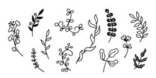A Large Set With Various Twigs. Clip Art In Doodle Style. Vector Design For Stickers And Tattoos.