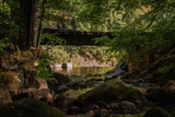Fototapeta Krajobraz - bridge over river in the forest