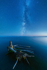 Wall Mural - Night landscape. Beautiful lake in the night under starry sky with bright miky way galaxy. The old stump on the shore.